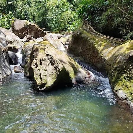 Maison La Voute Plage A 50M Et Riviere A Proximite Vieux-Habitants Dış mekan fotoğraf