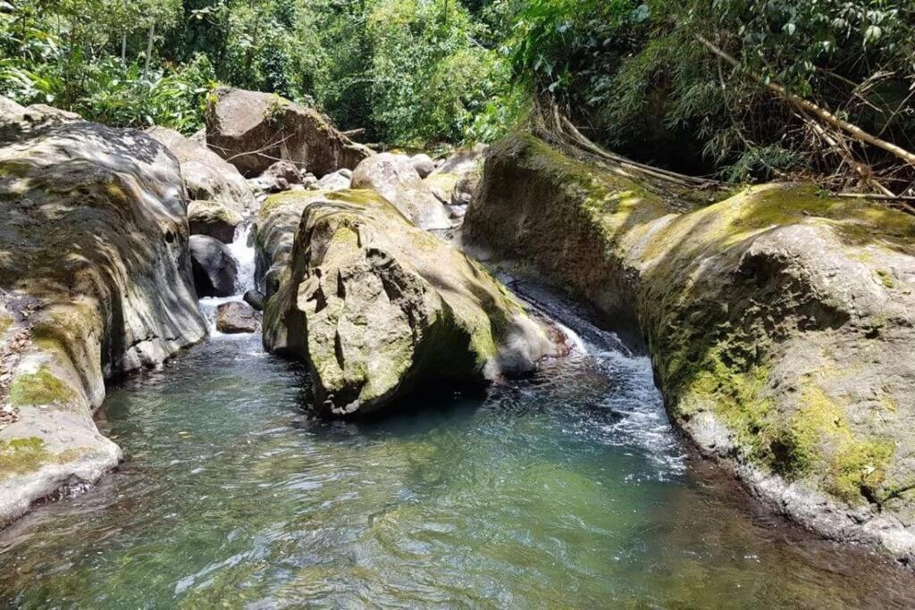 Maison La Voute Plage A 50M Et Riviere A Proximite Vieux-Habitants Dış mekan fotoğraf